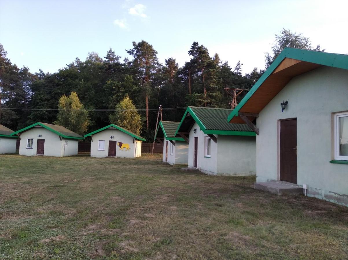 Domki Pod Lasem Плоньск Екстер'єр фото